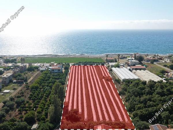 plot for sale agia marina chrysochous paphos 1684992 image 16838277