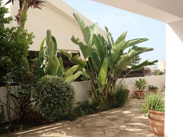 3 bedroom detached house for rent agios athanasios limassol 8699003 image 16934486