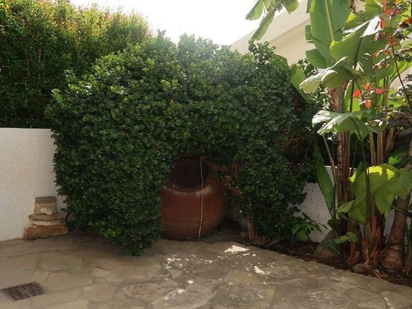 3 bedroom detached house for rent agios athanasios limassol 8699003 image 16934487
