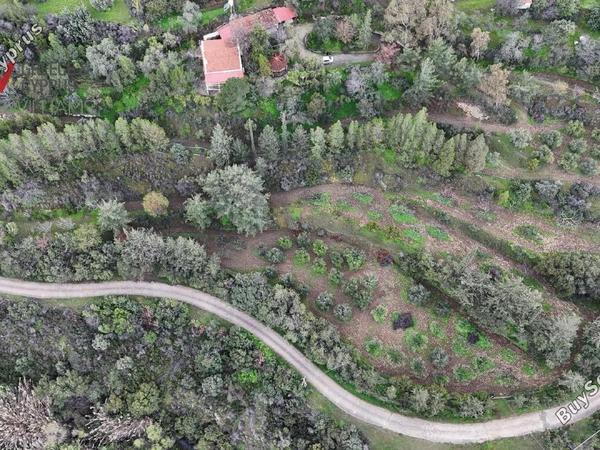 3 bedroom detached house for sale vavla larnaca 8413003 image 16136921