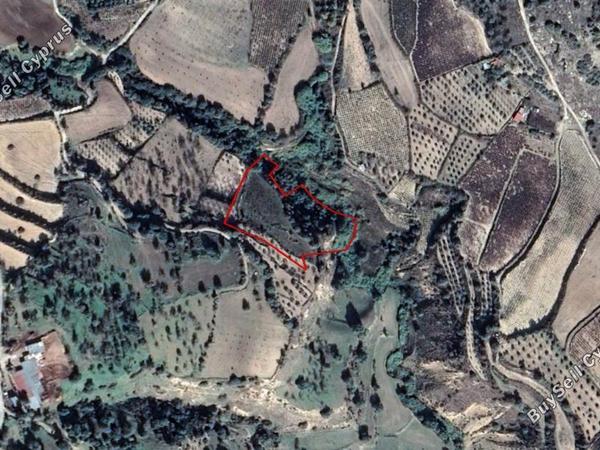 land for sale kallepeia paphos 828003 image 15178535