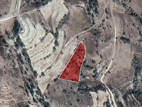 land for sale kilinia paphos 8665003 image 17011241