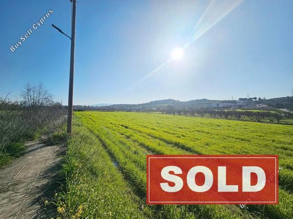 plot sold stroumbi paphos 8365003 image 14571512