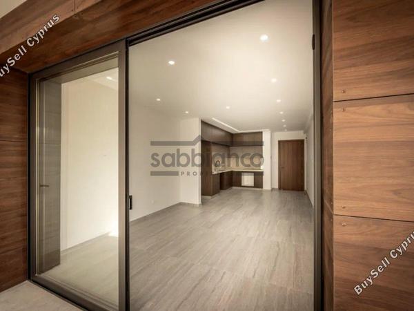 2 bedroom apartment for sale aradippou larnaca 8941103 image 18131744