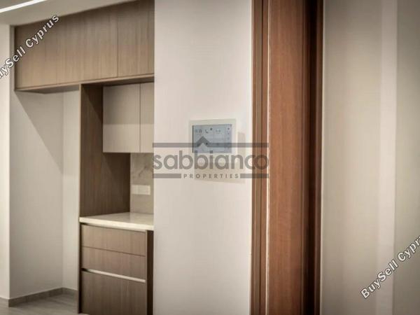 2 bedroom apartment for sale aradippou larnaca 8941103 image 18131751