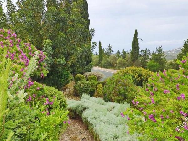3 bedroom detached house for sale tsada paphos 8645103 image 15929281