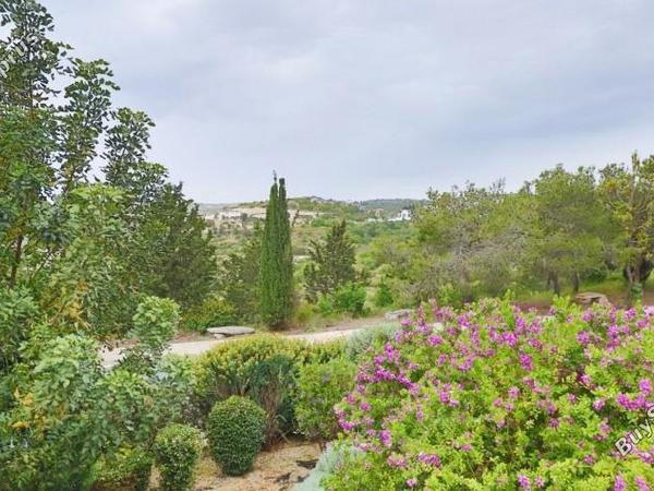3 bedroom detached house for sale tsada paphos 8645103 image 17165241
