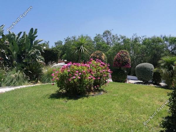 4 bedroom bungalow for sale anarita paphos 1354103 image 5595576