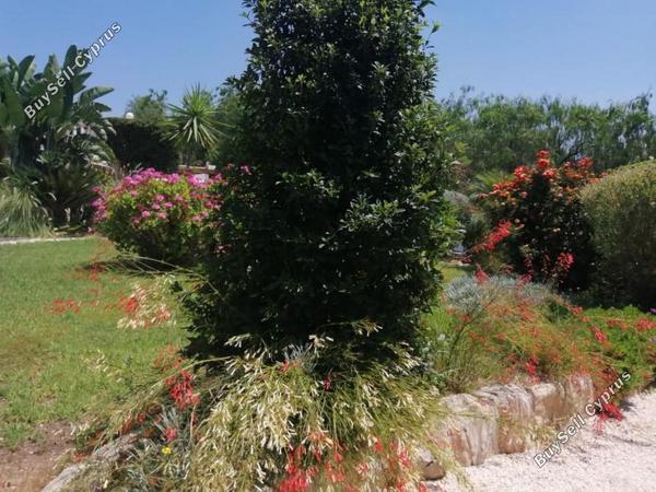 4 bedroom bungalow for sale anarita paphos 1354103 image 5595580