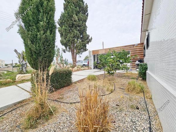 4 bedroom bungalow for sale anarita paphos 7937103 image 11292469