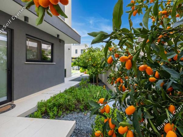 5 bedroom detached house for sale agios athanasios limassol 8203103 image 16232936