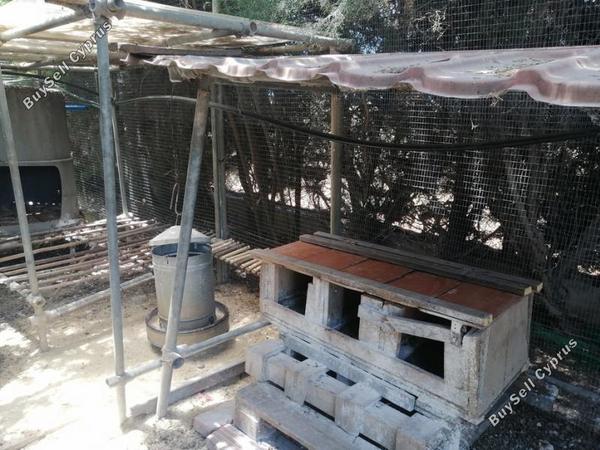 6 bedroom detached house for sale kato lakatamia nicosia 1073103 image 16169130