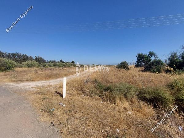 land for sale kouklia pafou paphos 7813103 image 12703018