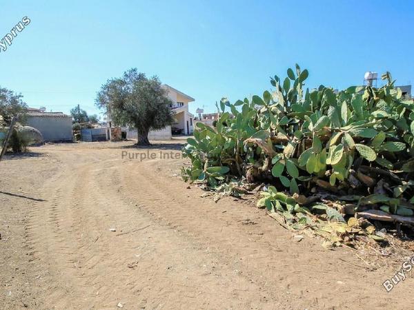 plot for sale kornos larnaca 7543103 image 10410756