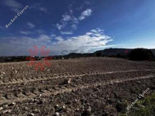 land for sale agios theodoros larnacas larnaca 7867203 image 15571214