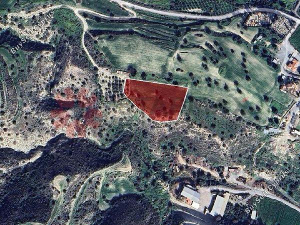land for sale agios theodoros larnacas larnaca 7867203 image 15571215