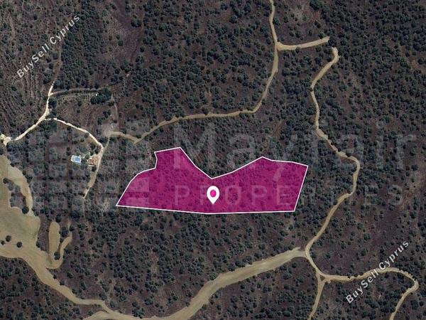 land for sale evrychou nicosia 7872203 image 14891851