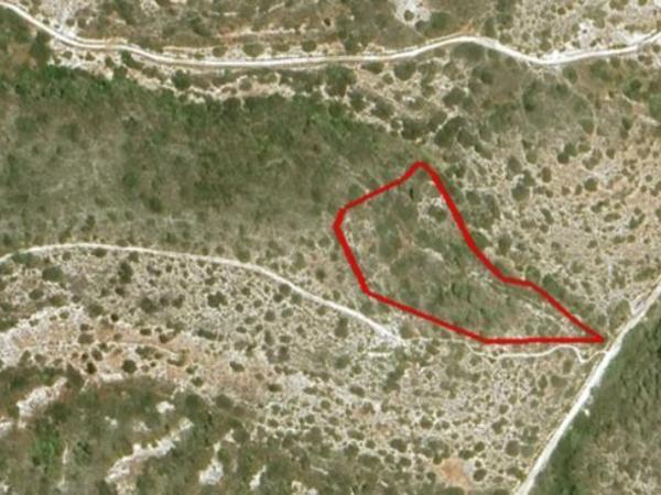 land for sale parekklisia limassol 8399203 image 14835481