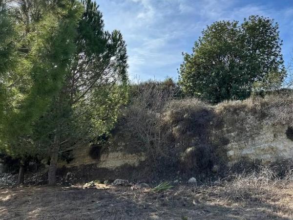 land for sale tsada paphos 8525203 image 15938940