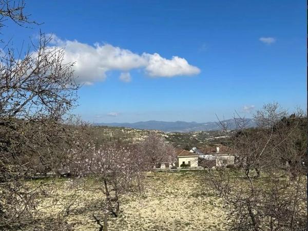 land for sale tsada paphos 8525203 image 15938942