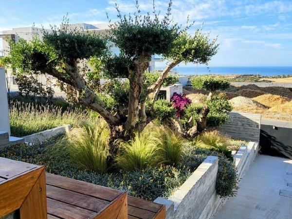 3 bedroom detached house for sale episkopi lemesou limassol 1678303 image 4347346