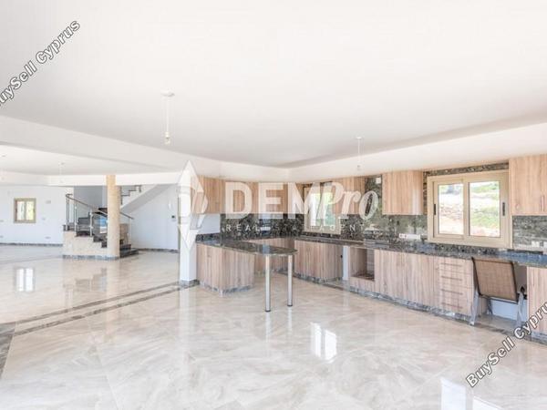 4 bedroom detached house for sale saint george peyia paphos 7812303 image 12689238