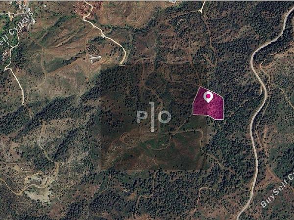 land for sale pano pyrgos nicosia 8275303 image 15159051