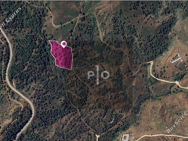 land for sale pano pyrgos nicosia 8275303 image 15159053