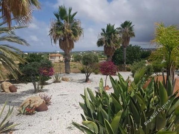 3 bedroom detached house for sale sea caves peyia paphos 7756403 image 13216239