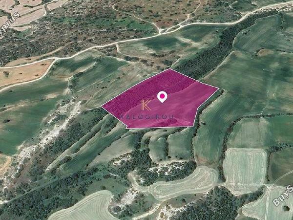 land for sale agios theodoros larnacas larnaca 1650403 image 9828727