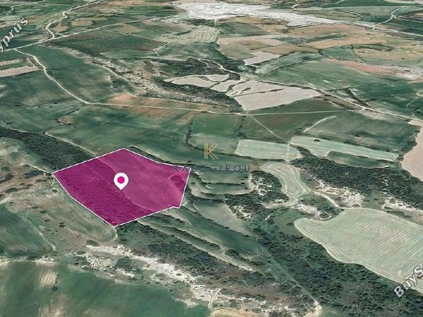 land for sale agios theodoros larnacas larnaca 1650403 image 9828728