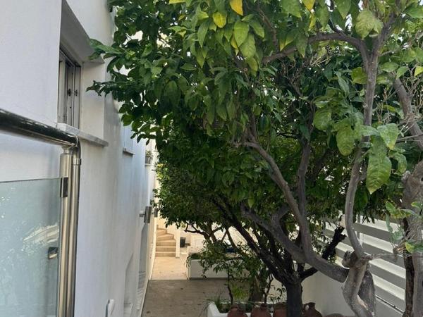 6 bedroom detached house for sale kapsalos limassol 1570503 image 4082393