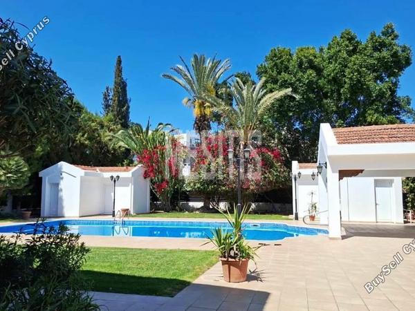 8 bedroom detached house for rent acropolis nicosia 8495603 image 15390464