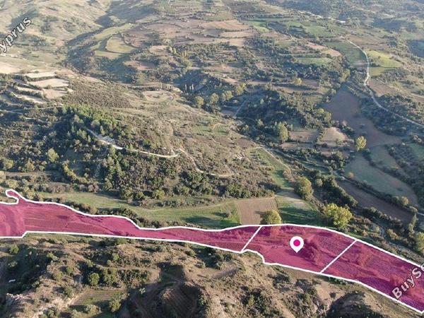land for sale kannaviou paphos 8237603 image 14231173