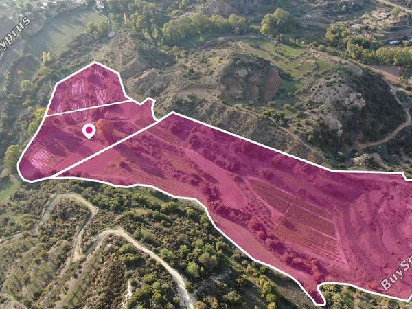land for sale kannaviou paphos 8237603 image 14231178