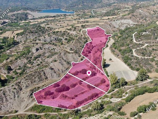 land for sale kannaviou paphos 8237603 image 14231184