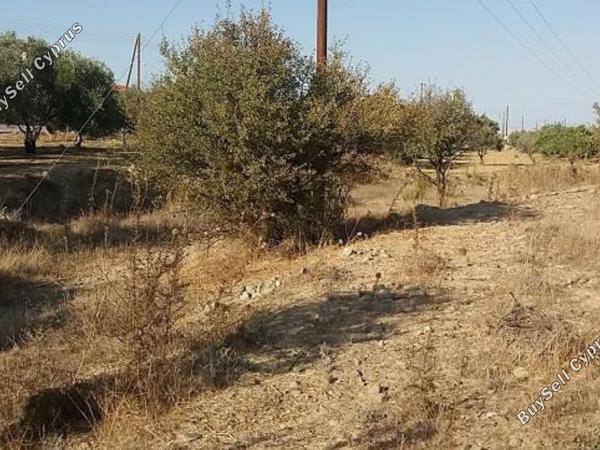 land for sale pera orinis nicosia 8266603 image 15930539