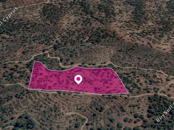 land for sale agios theodoros soleas nicosia 8629803 image 15869949