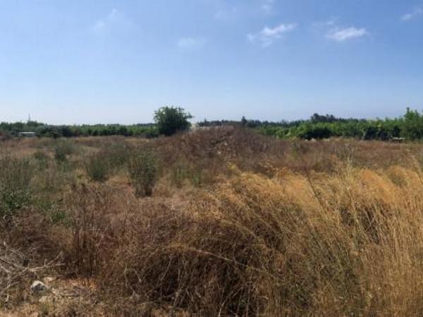 land for sale geroskipou paphos 1354803 image 5608297