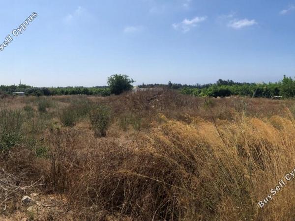 land for sale geroskipou paphos 1354803 image 5608299