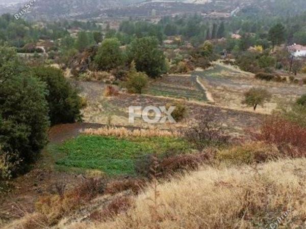 land for sale pera pedi limassol 1374803 image 5604695