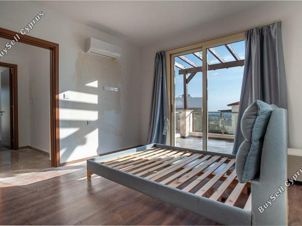 3 bedroom detached house for sale tala paphos 8374903 image 14760203