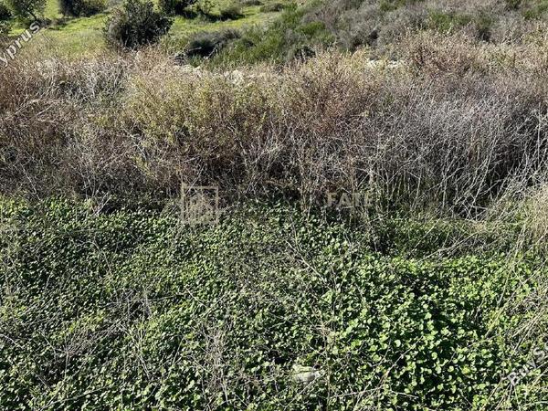 land for sale agios tychonas limassol 8085903 image 16553368