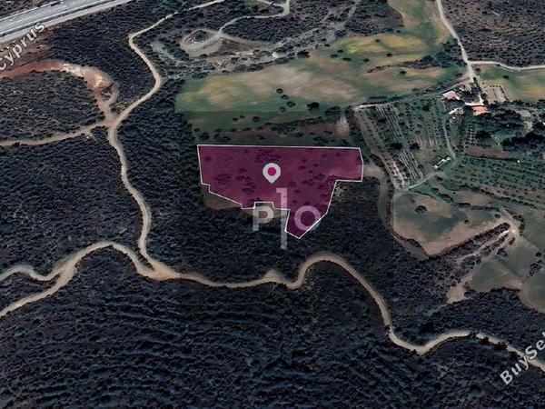 land for sale kofinou larnaca 8274903 image 15156232