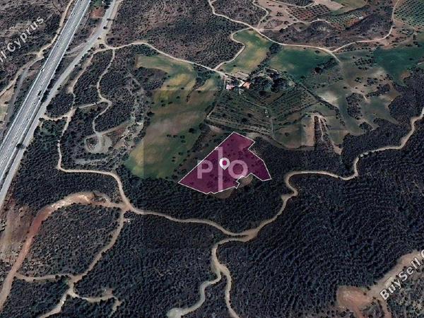land for sale kofinou larnaca 8274903 image 15156233