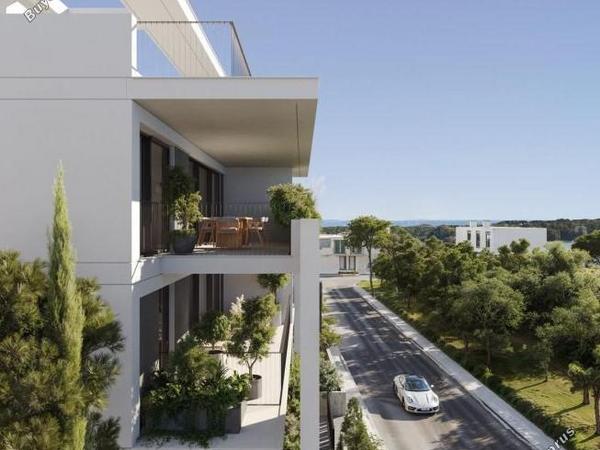 studio penthouse for sale zakaki limassol 8134903 image 13377640