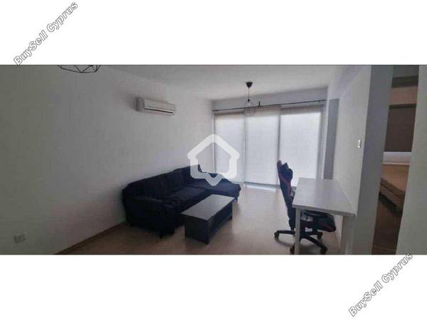 1 bedroom apartment for rent aglantzia nicosia 8645013 image 16336054
