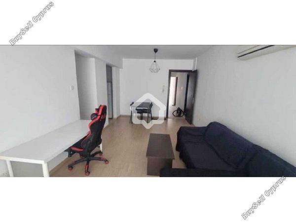 1 bedroom apartment for rent aglantzia nicosia 8645013 image 16336055