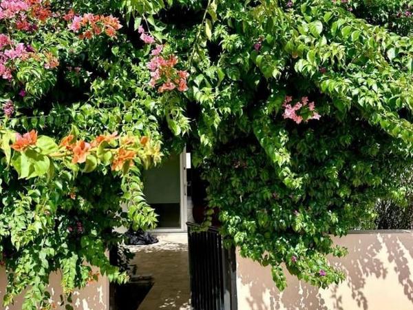 2 bedroom ground floor apartment for sale kato paphos universal paphos 1354013 image 5594328