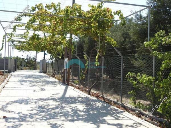 3 bedroom detached house for sale maroni larnaca 1029013 image 5426587